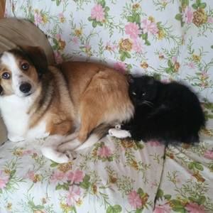 Meet your Posher, Christiana